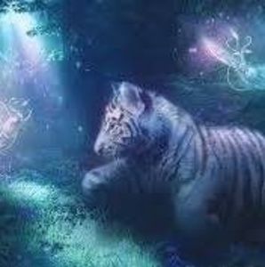 Meet your Posher, Edith